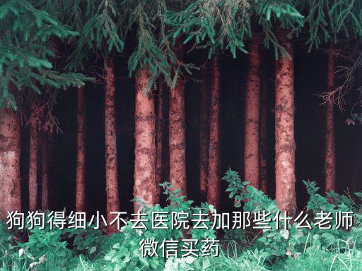 狗狗得細小不去醫院去加那些什么老師微信買藥