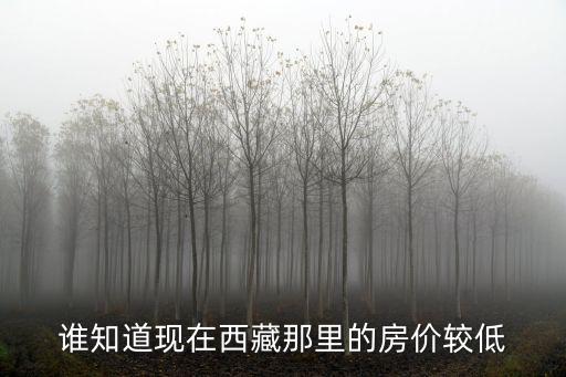 拉薩市區哪個地段房價最低，拉薩房價多少