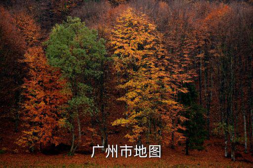 廣州地圖位置在哪個(gè)位置圖，廣州屬于中國(guó)地圖哪個(gè)部位