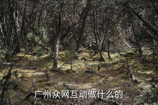 廣州眾網(wǎng)互動(dòng)做什么的