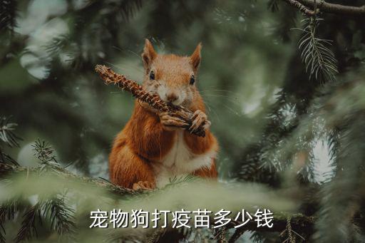 小狗要疫苗多少錢，小狗的疫苗多少錢一針