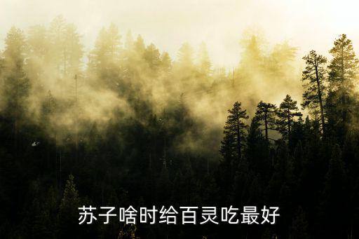 百靈鳥(niǎo)一天吃多少蘇子，蘇子啥時(shí)給百靈吃最好
