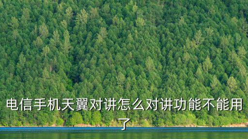 電信手機天翼對講怎么對講功能不能用了