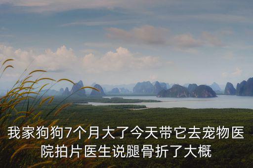 我家狗狗7個月大了今天帶它去寵物醫(yī)院拍片醫(yī)生說腿骨折了大概