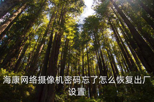 手機重置海康密碼忘了怎么辦，海康球機密碼忘記了怎么改