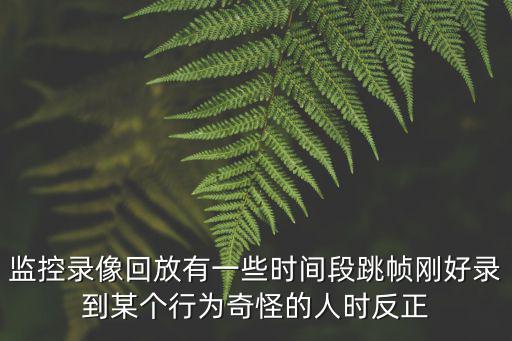 監控錄像回放有一些時間段跳幀剛好錄到某個行為奇怪的人時反正