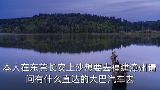本人在東莞長安上沙想要去福建漳州請問有什么直達(dá)的大巴汽車去