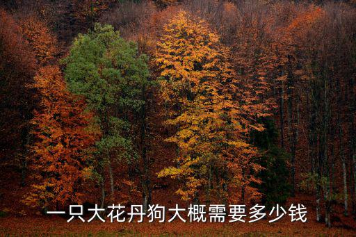 一只大花丹狗大概需要多少錢