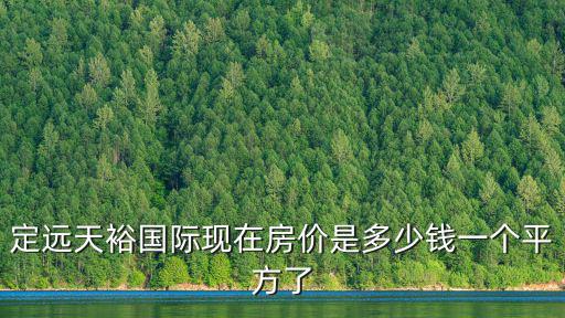 定遠天裕國際現在房價是多少錢一個平方了