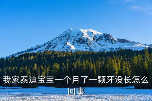 我家泰迪寶寶一個(gè)月了一顆牙沒長(zhǎng)怎么回事