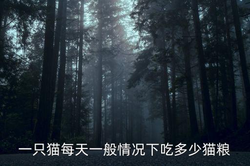 小奶貓一次吃多少，貓咪一頓飯吃多少比較合適