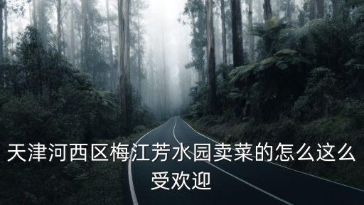 天津河西區梅江芳水園賣菜的怎么這么受歡迎