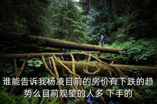 楊凌今后的房價如何，幫忙找些關于股權投資的資料寫論文用多謝