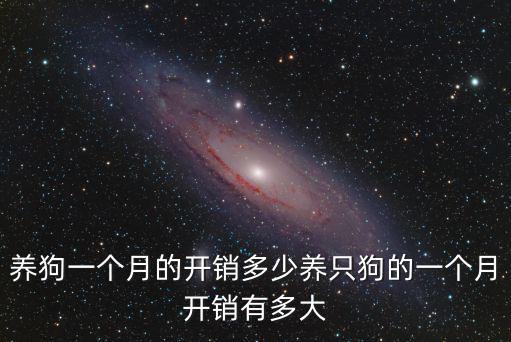 養(yǎng)狗一個月的開銷多少養(yǎng)只狗的一個月開銷有多大