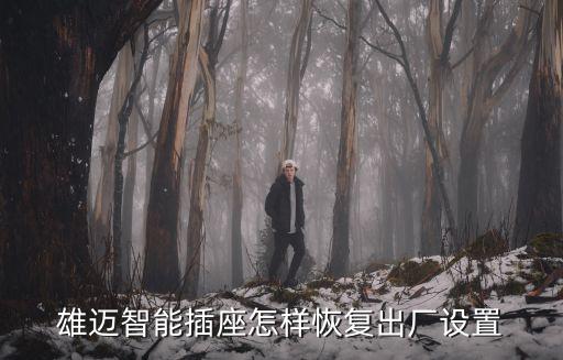 雄邁智能插座怎樣恢復出廠設置