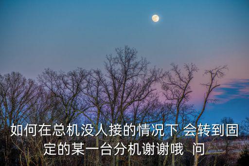 如何在總機(jī)沒人接的情況下 會轉(zhuǎn)到固定的某一臺分機(jī)謝謝哦  問