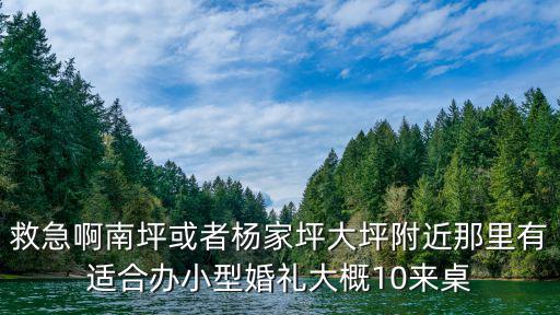 重慶市大坪婚宴酒店，救急啊南坪或者楊家坪大坪附近那里有適合辦小型婚禮大概10來桌