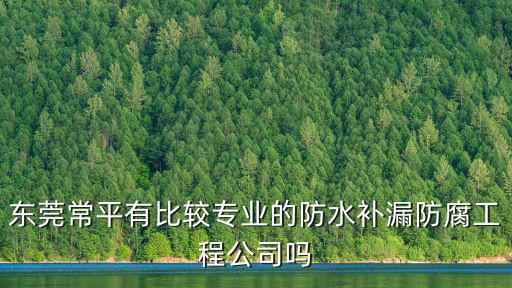 東莞常平有比較專業(yè)的防水補(bǔ)漏防腐工程公司嗎