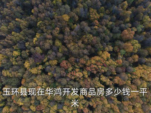 玉環縣現在華鴻開發商品房多少錢一平米