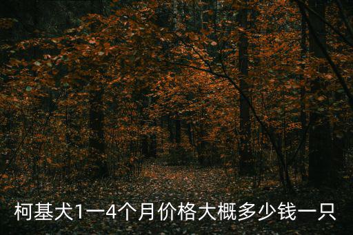 柯基犬1一4個(gè)月價(jià)格大概多少錢一只