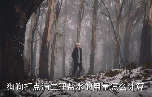 狗狗打點滴生理鹽水的用量怎么計算