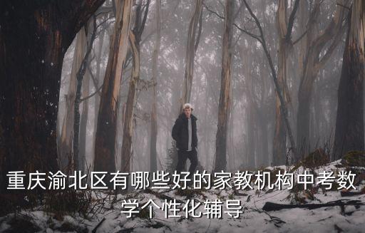 重慶渝北區有哪些好的家教機構中考數學個性化輔導