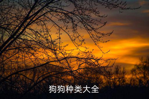 狗狗種類大全