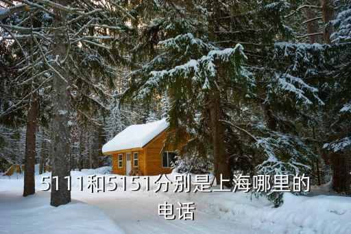 5111和5151分別是上海哪里的電話