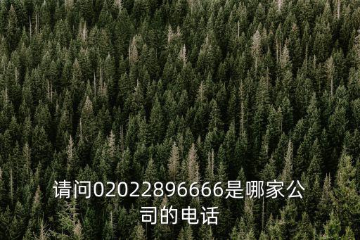 廣州初成塑業有限公司電話，請問02022896666是哪家公司的電話