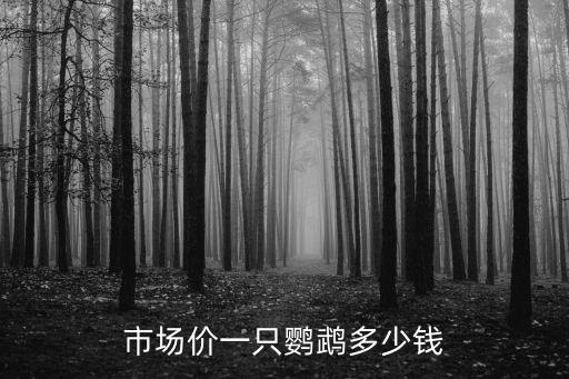 普通鸚鵡多少錢一只，市場價一只鸚鵡多少錢