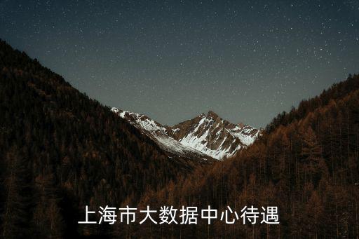 上海市大數據中心待遇