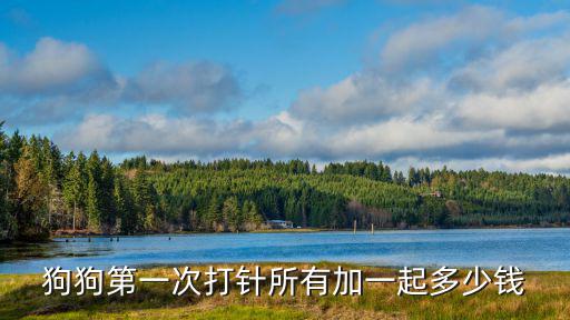 狗狗荷蘭進(jìn)口疫苗多少錢一只，荷蘭英特威和美國(guó)輝瑞的衛(wèi)佳哪個(gè)貴