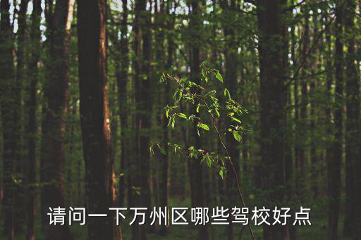 請問一下萬州區哪些駕校好點