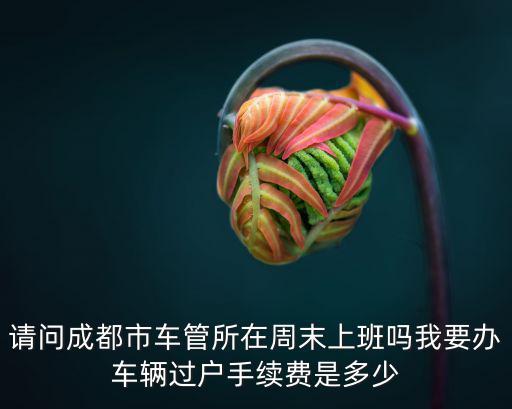 請問成都市車管所在周末上班嗎我要辦車輛過戶手續(xù)費(fèi)是多少