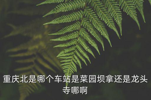 重慶市北客站，重慶汽車北站在哪里