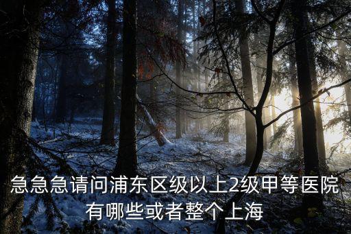 上海市二級甲等以上的醫(yī)院，上海二甲醫(yī)院