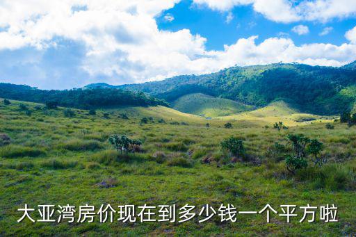 大亞灣房價現在到多少錢一個平方啦