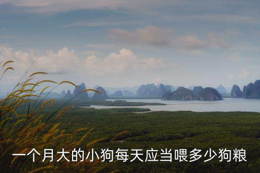 一個月大的小狗每天應當喂多少狗糧