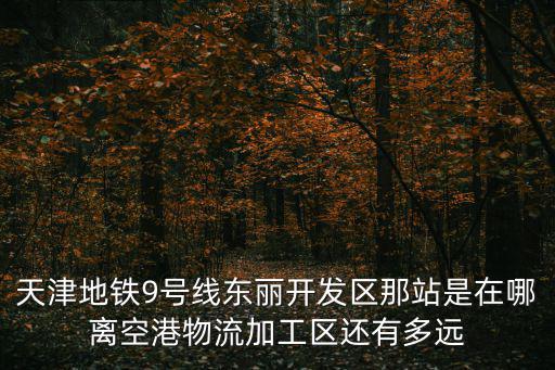 天津市東麗區9號線路線圖，天津地鐵9號線東麗開發區那站是在哪離空港物流加工區還有多遠