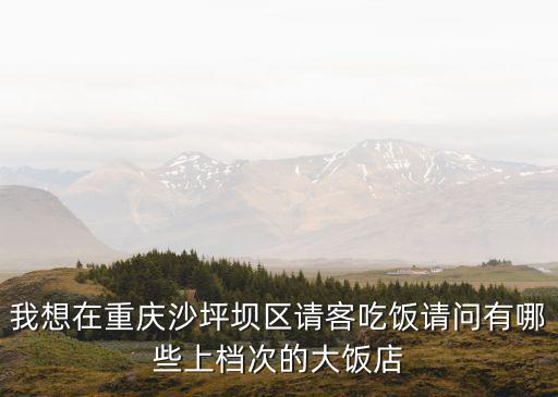 我想在重慶沙坪壩區(qū)請客吃飯請問有哪些上檔次的大飯店