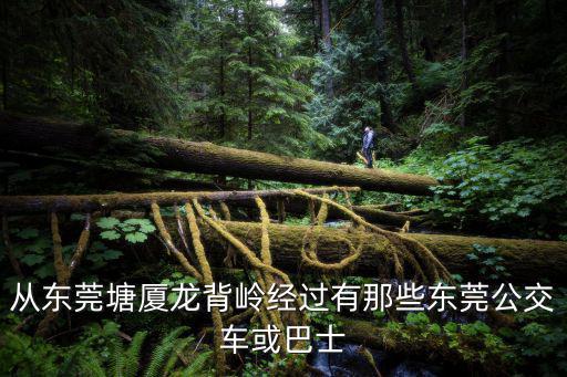 從東莞塘廈龍背嶺經過有那些東莞公交車或巴士