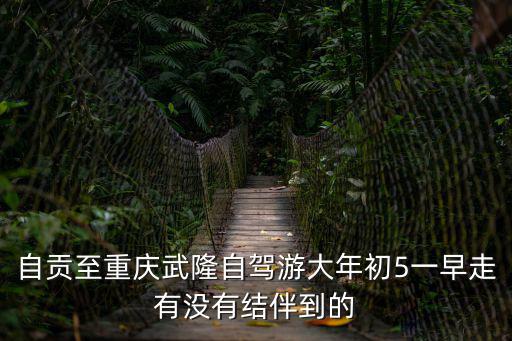 自貢至重慶武隆自駕游大年初5一早走有沒有結(jié)伴到的