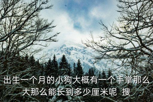 一個月的幼犬體重是多少算正常嗎，小金毛一個半月應該多大六斤正常嗎