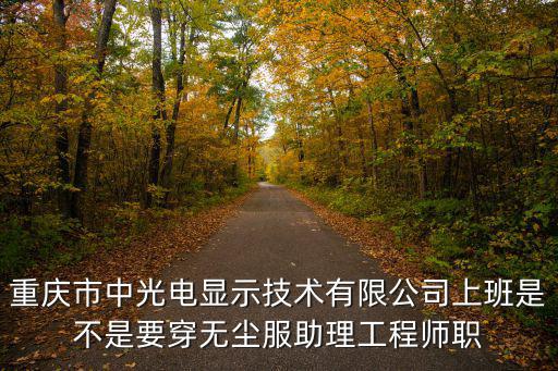 重慶市中光電顯示技術有限公司上班是不是要穿無塵服助理工程師職