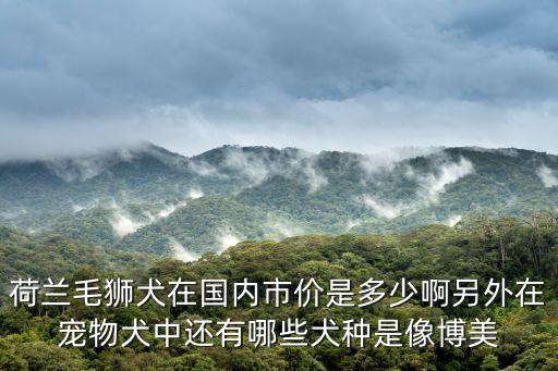 荷蘭毛獅犬在國內市價是多少啊另外在寵物犬中還有哪些犬種是像博美