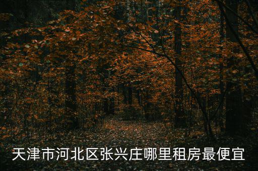 天津市河北區(qū)張興莊哪里租房最便宜