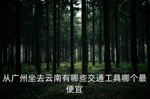 從廣州坐去云南有哪些交通工具哪個最便宜