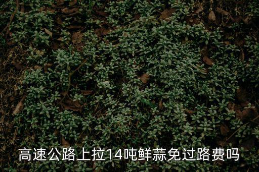 高速公路上拉14噸鮮蒜免過路費嗎