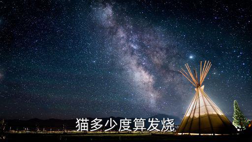 貓多少度算發燒