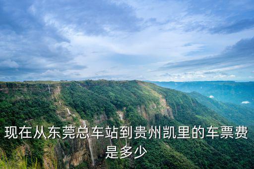 現(xiàn)在從東莞總車站到貴州凱里的車票費是多少